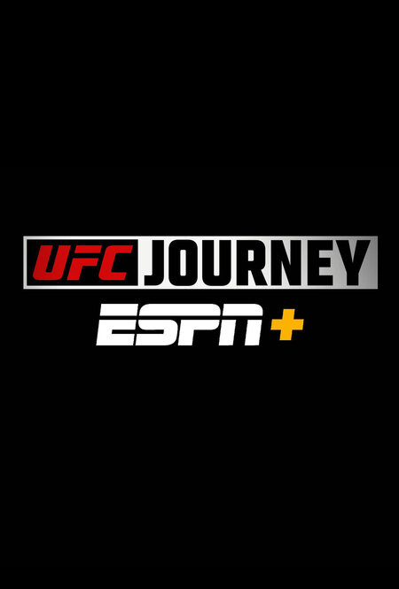 ufc journey